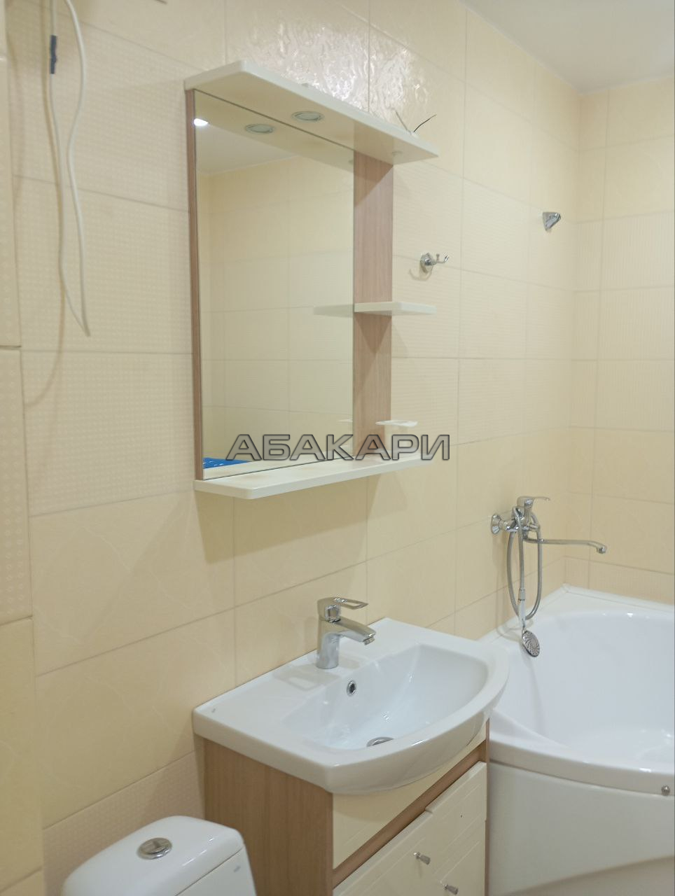 1-комнатная Светлогорская улица, 11А  за 35000 руб/мес фото 19