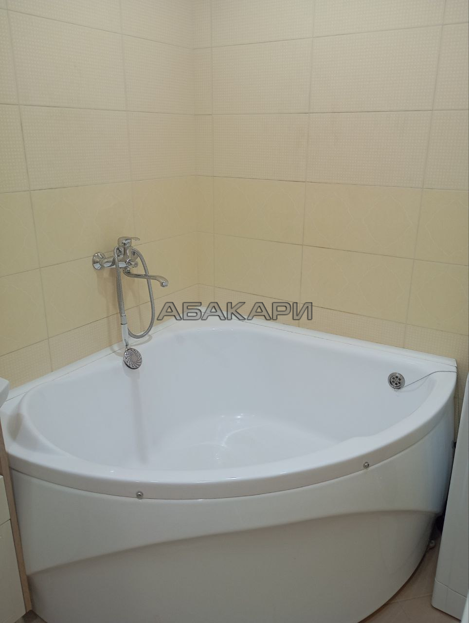 1-комнатная Светлогорская улица, 11А  за 35000 руб/мес фото 18