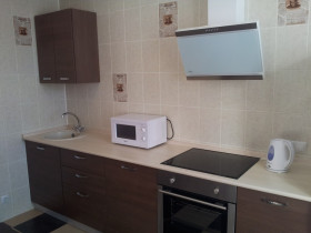аренда Алексеева, 50 1-комнатная 35000