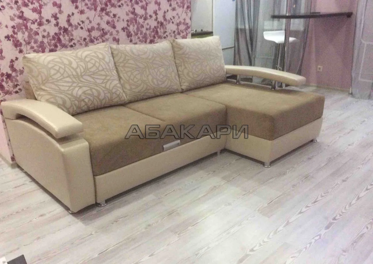 студия улица Бограда, 65  за 40000 руб/мес фото 4