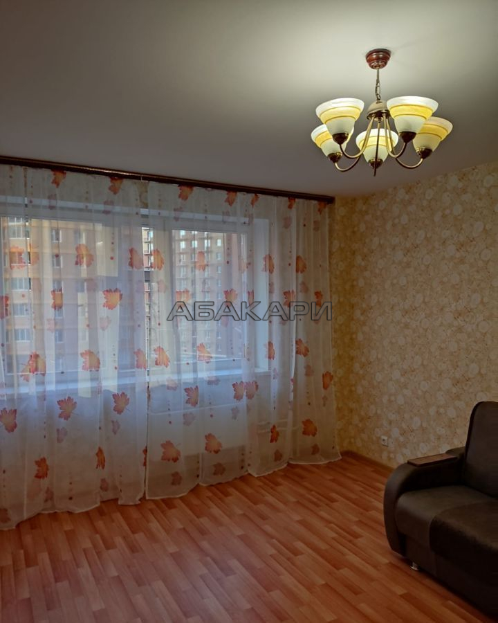 1-комнатная Соколовская улица, 76А  за 15000 руб/мес фото 2