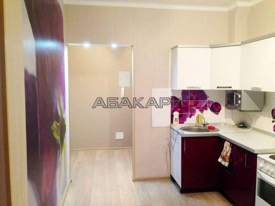 1-комнатная Дачная улица, 37  за 25000 руб/мес фото 2