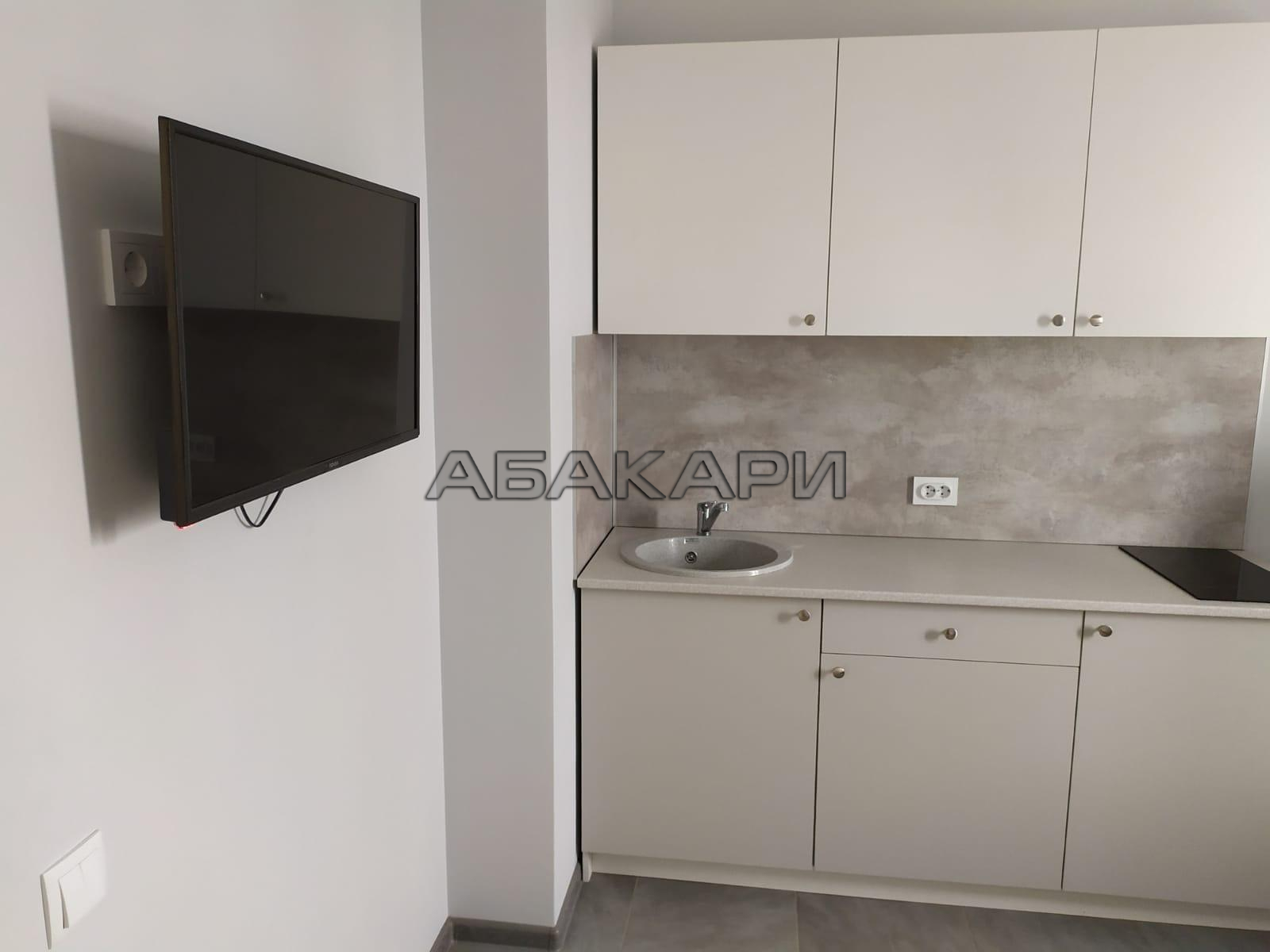 1-комнатная улица Петра Подзолкова, 3И  за 24000 руб/мес фото 3