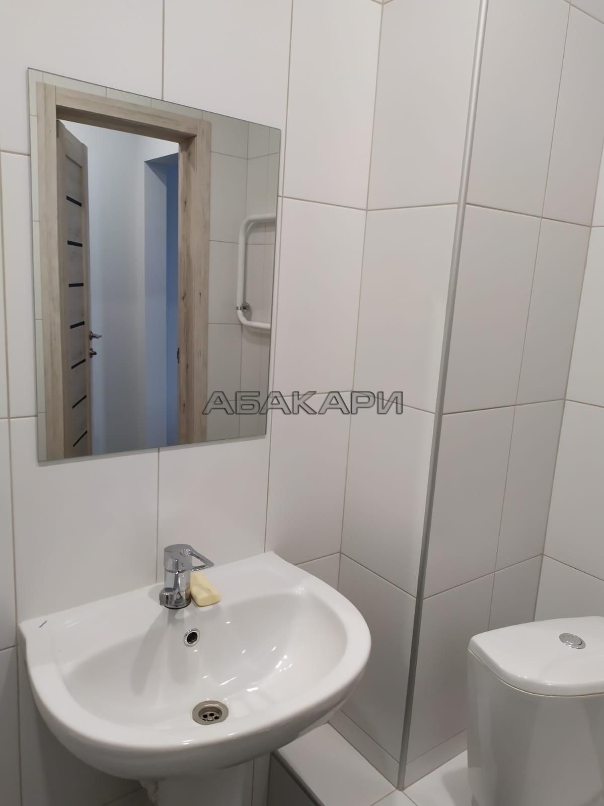 1-комнатная улица Петра Подзолкова, 3И  за 24000 руб/мес фото 9
