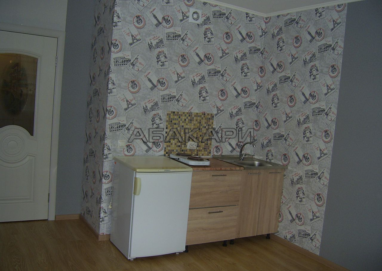 студия Дудинская улица, 2Б  за 20000 руб/мес фото 1