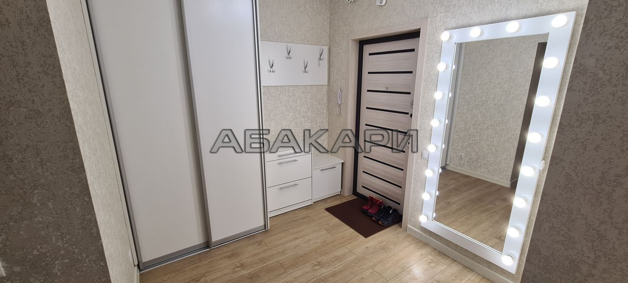 1-комнатная улица Алексеева, 48А  за 30000 руб/мес фото 3