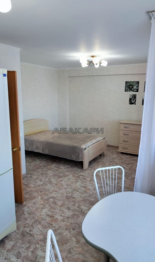 студия улица Любы Шевцовой, 88  за 21000 руб/мес фото 4