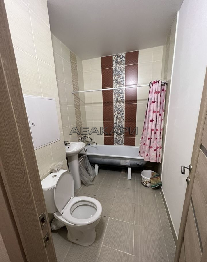 1-комнатная улица Петра Подзолкова, 28  за 25000 руб/мес фото 5