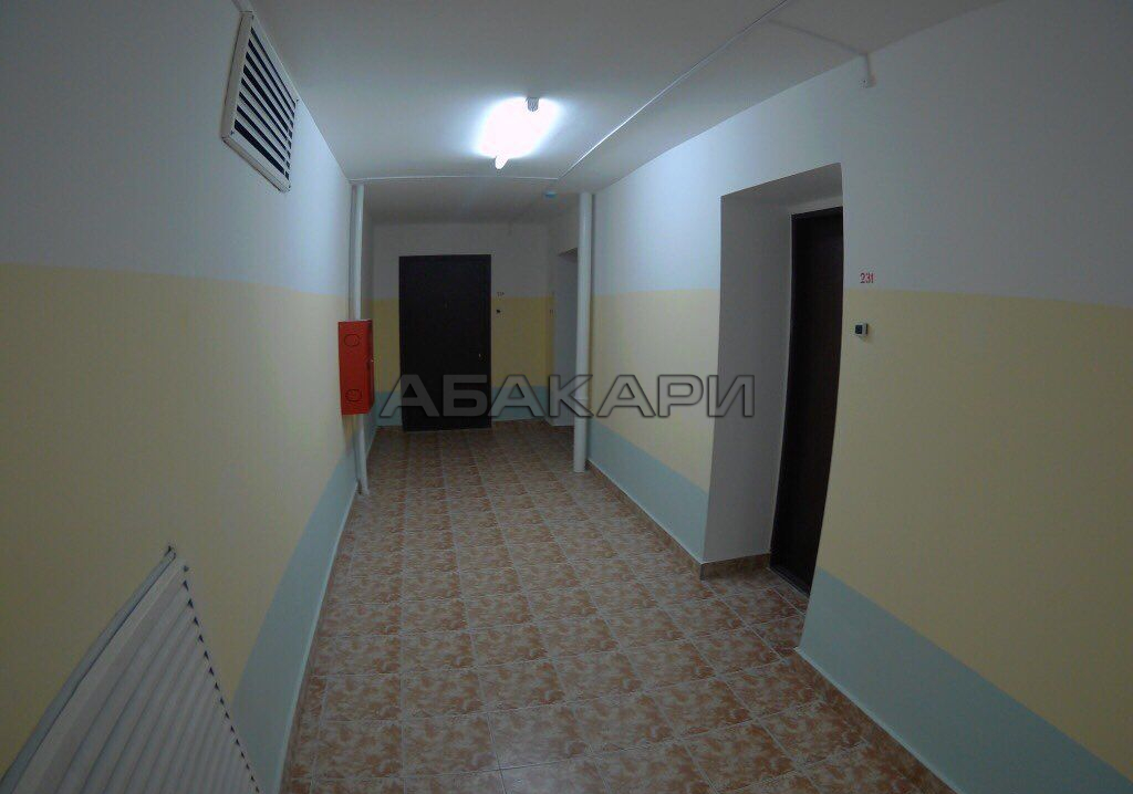 1-комнатная улица Светлова, 31  за 17000 руб/мес фото 6