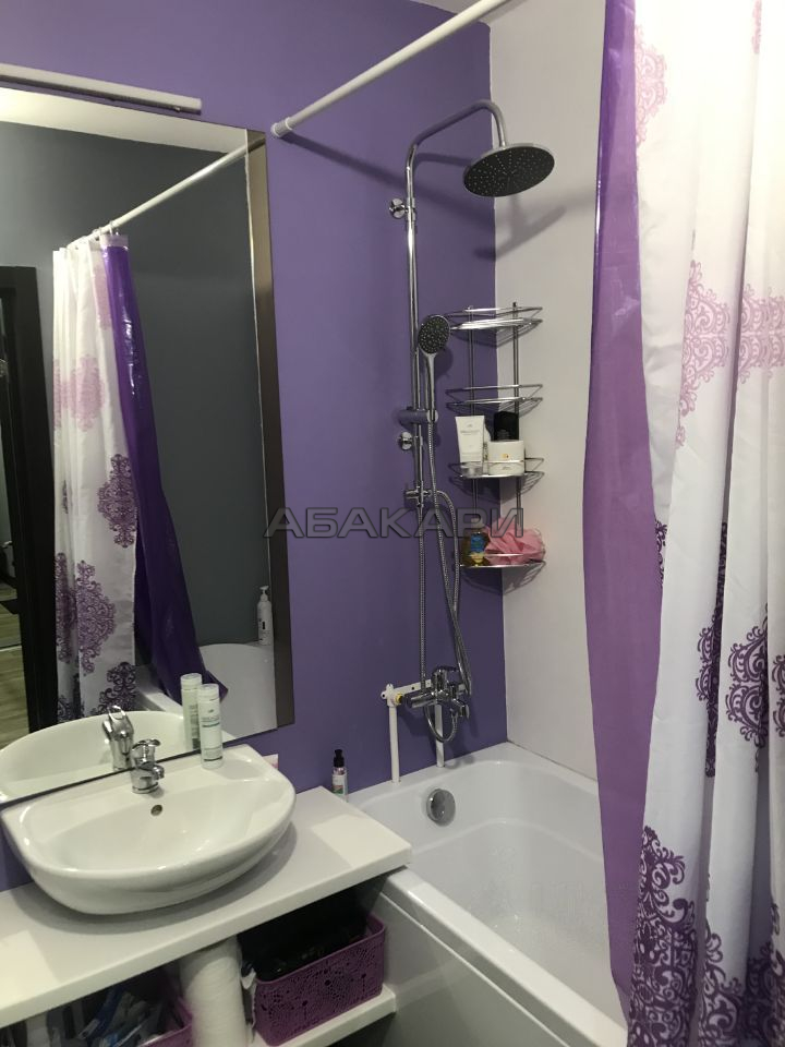 1-комнатная Соколовская улица, 70  за 25000 руб/мес фото 6