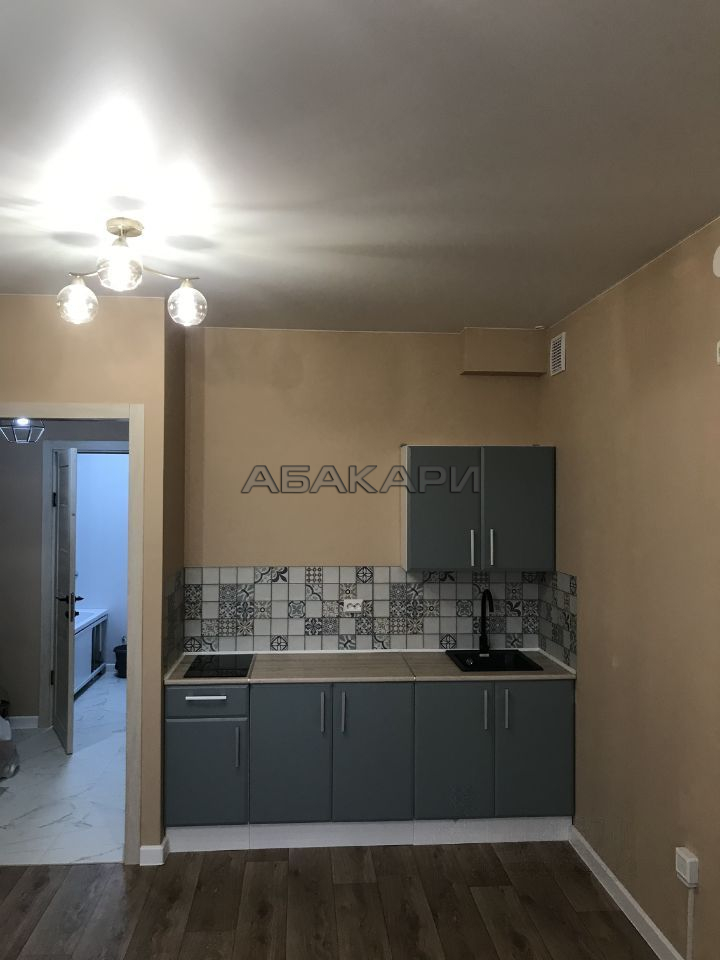 студия Краснодарская улица, 40/3  за 25000 руб/мес фото 1