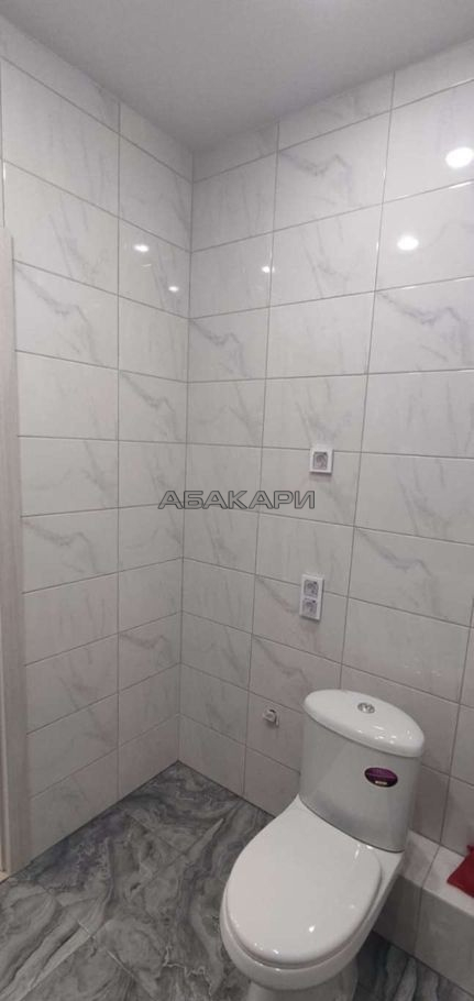 1-комнатная Южная набережная, 10  за 25000 руб/мес фото 6