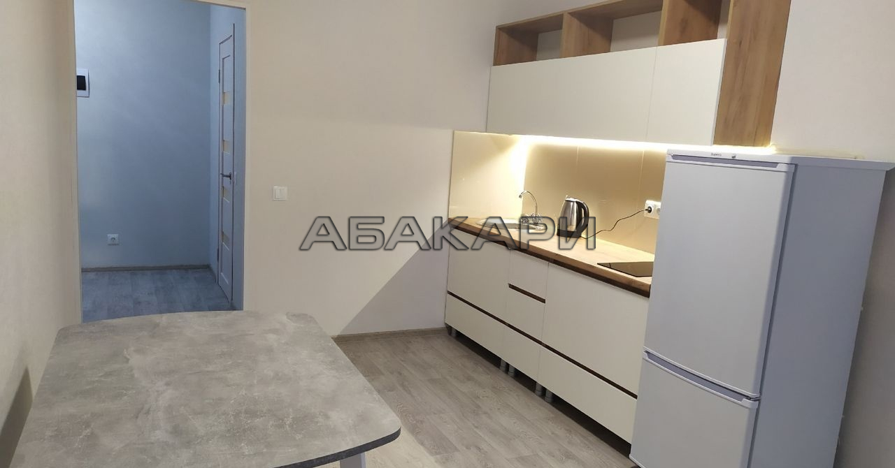 1-комнатная Светлогорский переулок, 12  за 37000 руб/мес фото 3