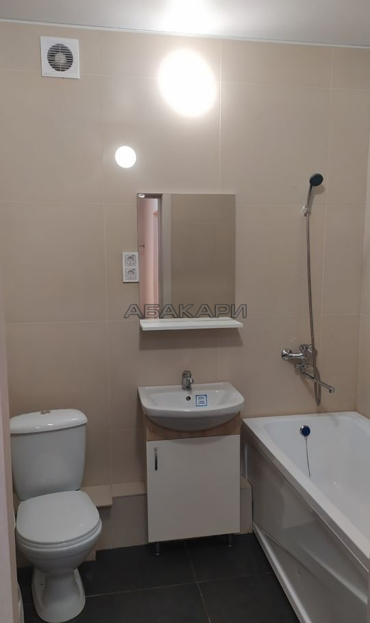 1-комнатная Светлогорский переулок, 12  за 37000 руб/мес фото 7