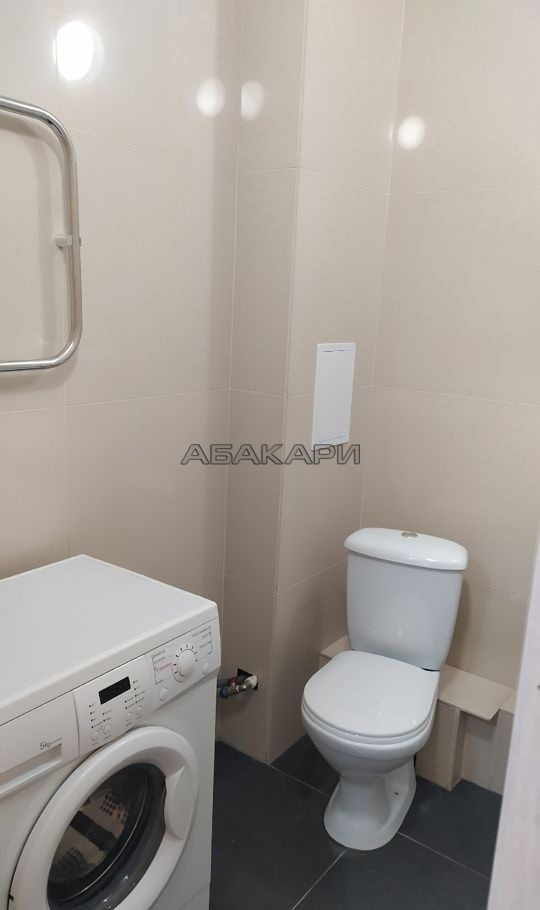 1-комнатная Светлогорский переулок, 12  за 37000 руб/мес фото 8