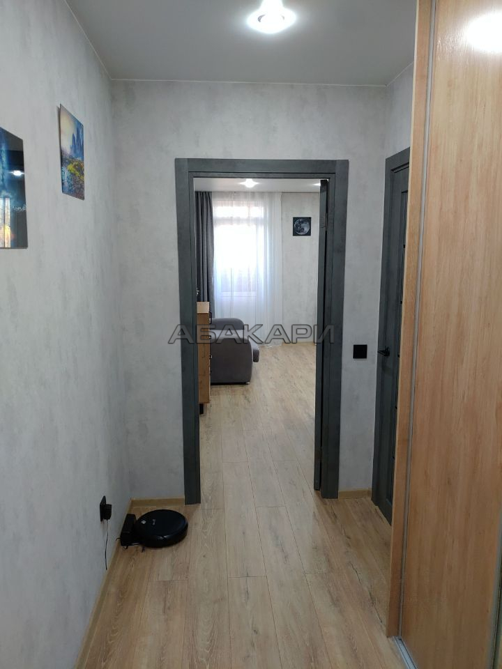 студия Дудинская улица, 2В  за 30000 руб/мес фото 5