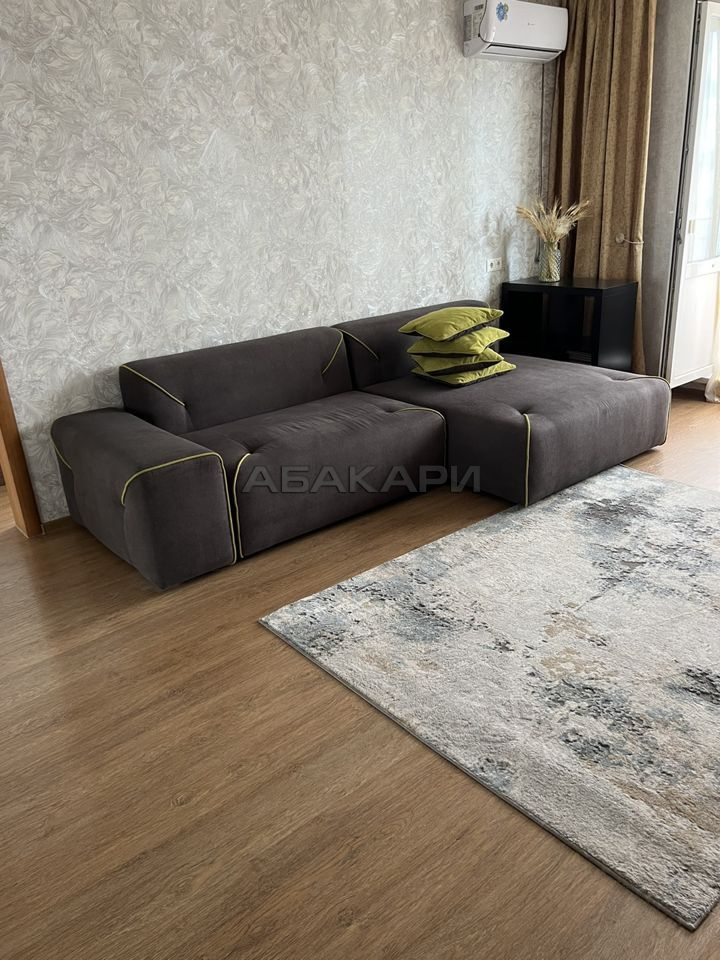2-комнатная Светлогорская улица, 19  за 40000 руб/мес фото 6