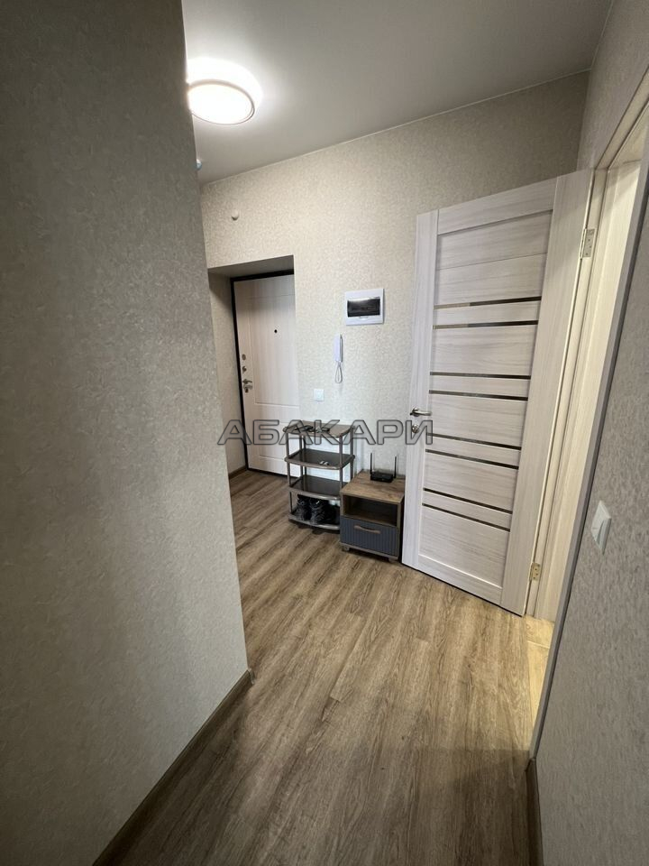 1-комнатная Светлогорский переулок, 12А  за 35000 руб/мес фото 9