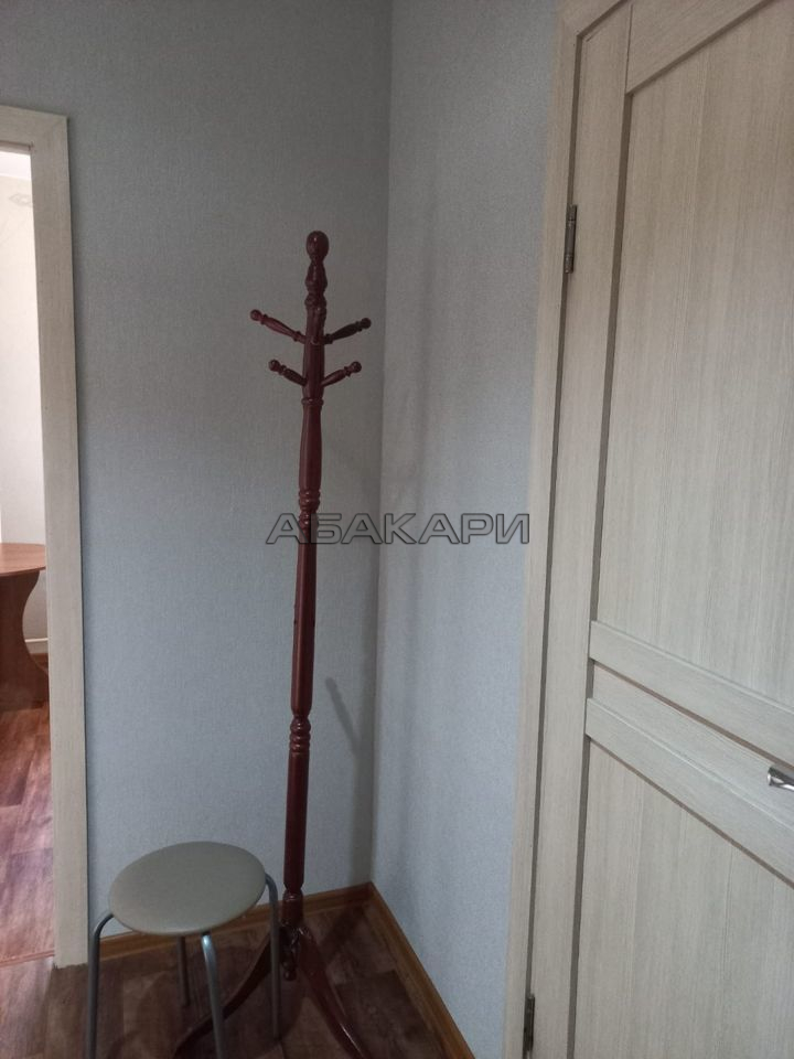 1-комнатная Парусная улица, 8  за 30000 руб/мес фото 3