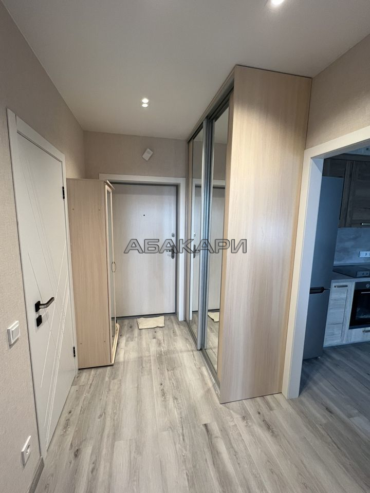 1-комнатная улица Петра Ломако, 1  за 40000 руб/мес фото 12