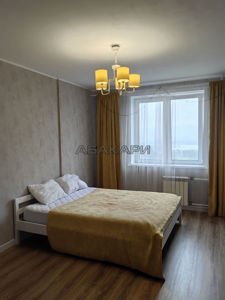 1-комнатная Дудинская улица, 2В  за 35000 руб/мес фото 1