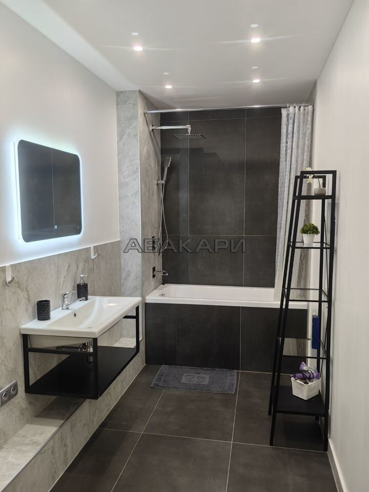 1-комнатная Дудинская улица, 2В  за 35000 руб/мес фото 11