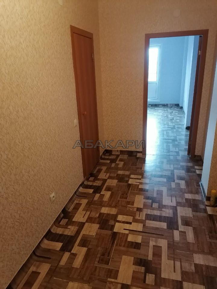 студия Судостроительная улица, 27Д  за 18000 руб/мес фото 1