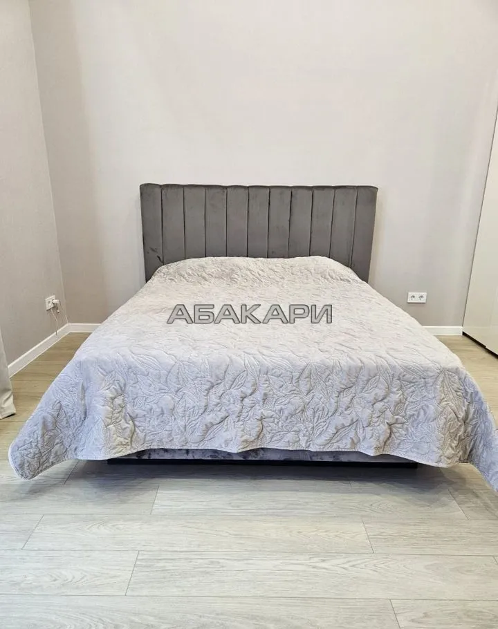 1-комнатная улица Петра Подзолкова, 12  за 50000 руб/мес фото 4