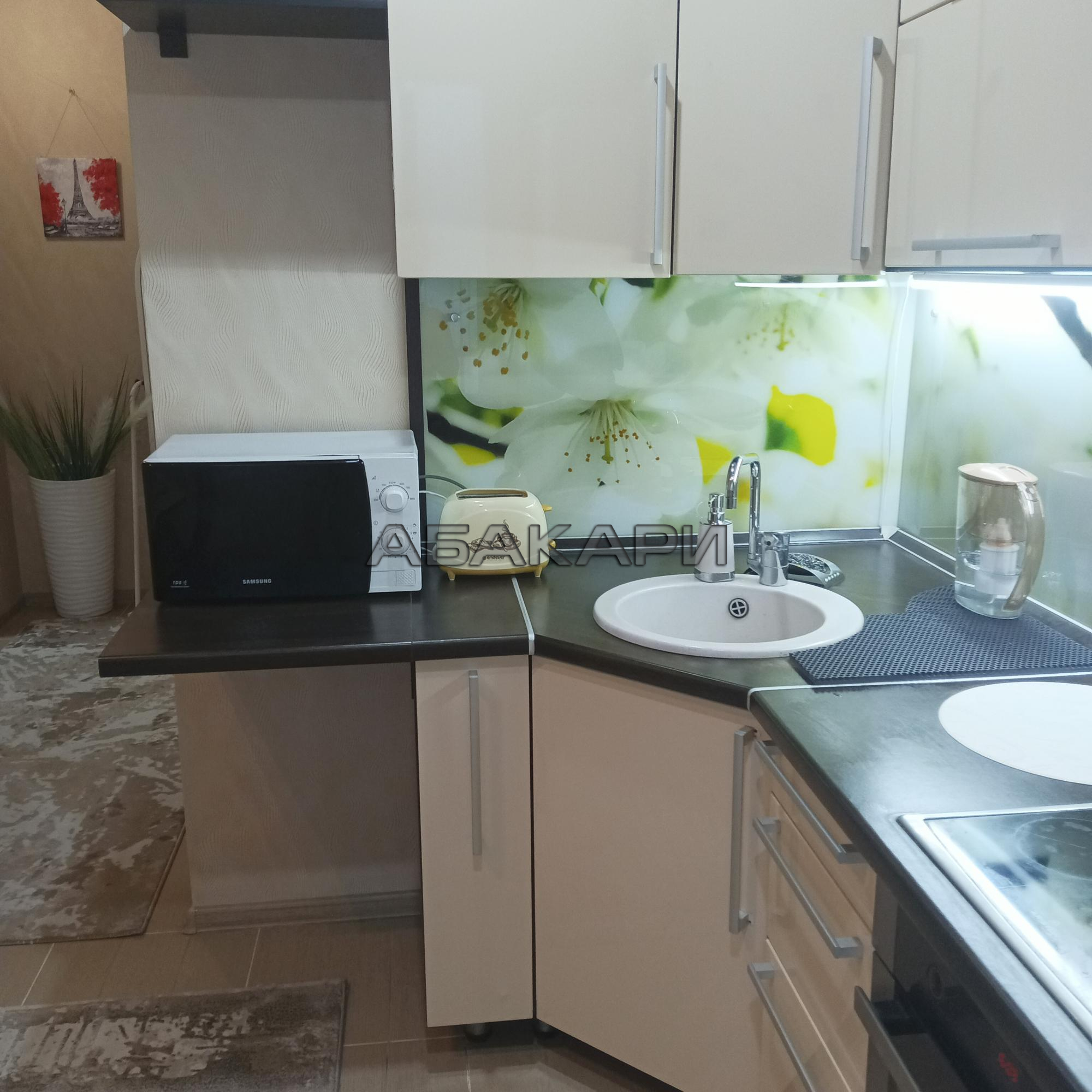 1-комнатная улица Щорса, 103  за 28000 руб/мес фото 9