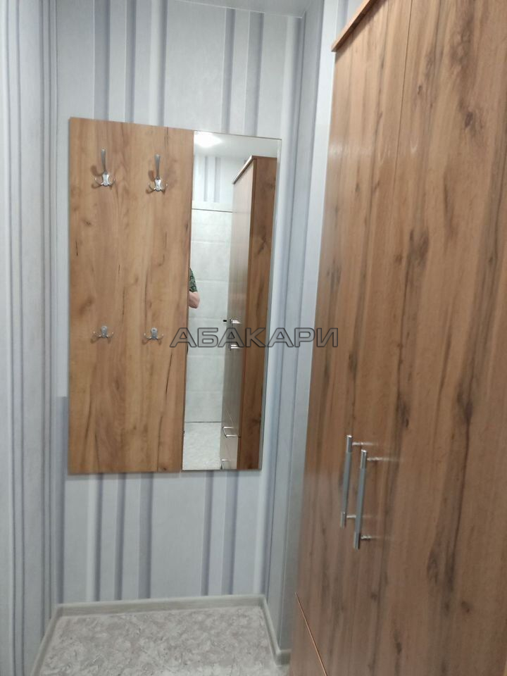 1-комнатная Лесопарковая улица, 43  за 32000 руб/мес фото 13