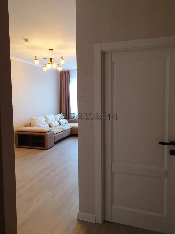 1-комнатная улица Партизана Железняка, 38А  за 45000 руб/мес фото 18