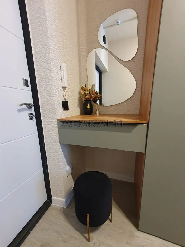 1-комнатная улица Партизана Железняка, 38А  за 45000 руб/мес фото 23