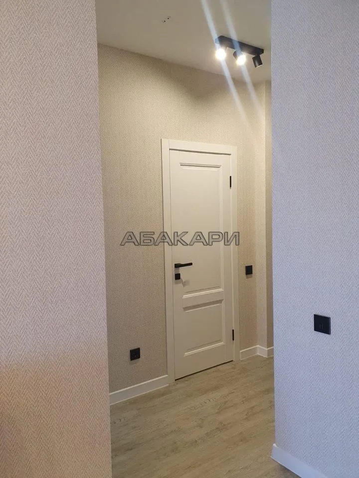 1-комнатная улица Партизана Железняка, 38А  за 45000 руб/мес фото 25