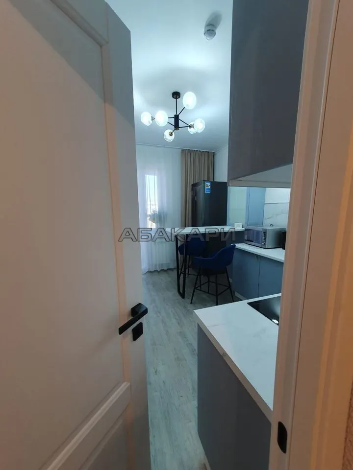 1-комнатная улица Партизана Железняка, 38А  за 45000 руб/мес фото 14