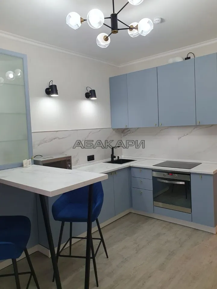 1-комнатная улица Партизана Железняка, 38А  за 45000 руб/мес фото 12