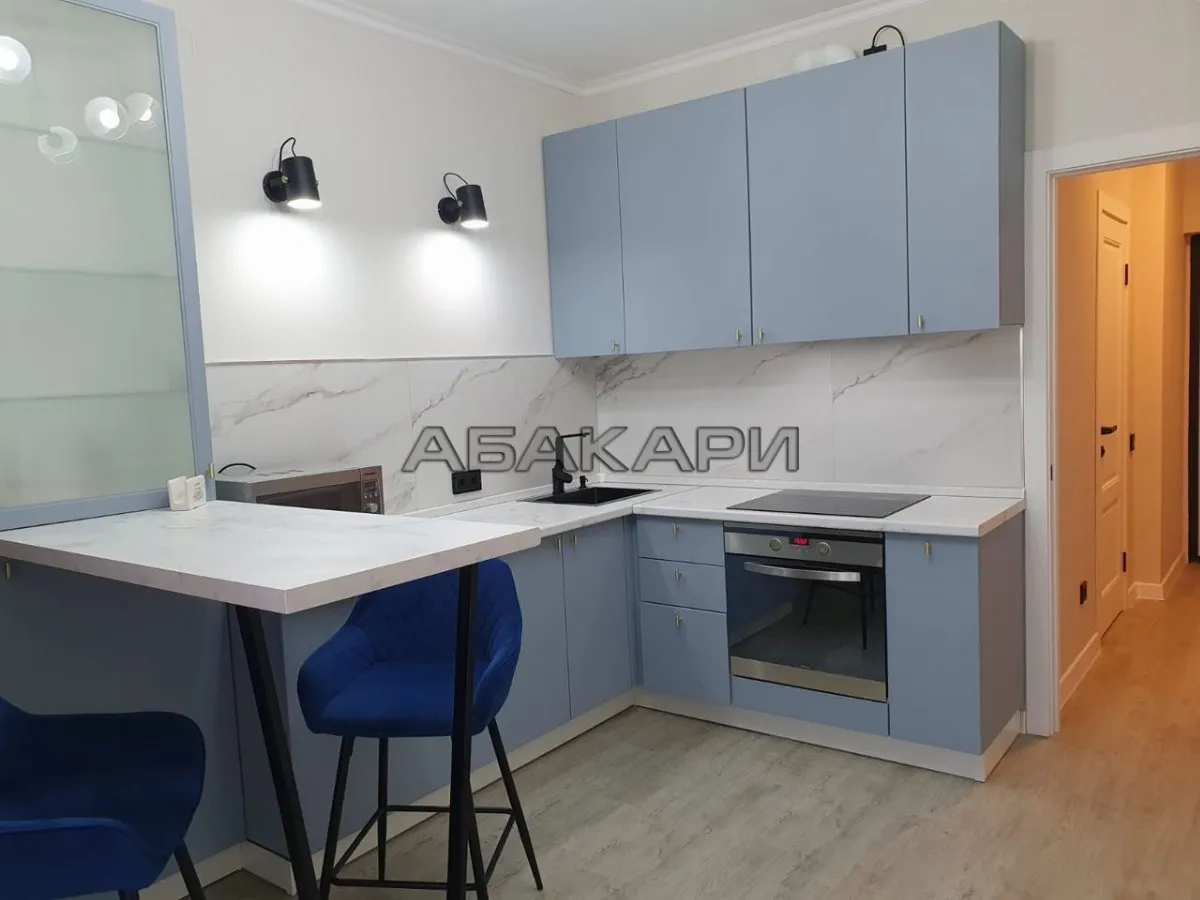 1-комнатная улица Партизана Железняка, 38А  за 45000 руб/мес фото 11