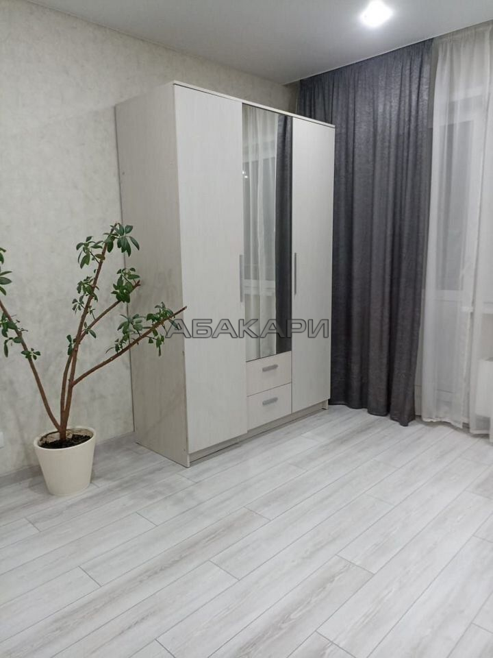 1-комнатная улица Петра Подзолкова, 3И  за 38000 руб/мес фото 2
