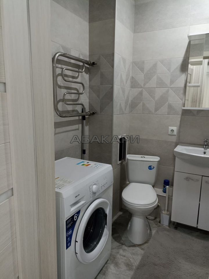 1-комнатная улица Петра Подзолкова, 3И  за 38000 руб/мес фото 4