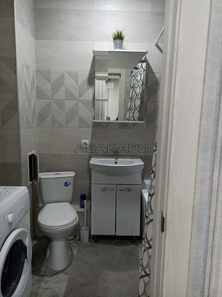 1-комнатная улица Петра Подзолкова, 3И  за 38000 руб/мес фото 5