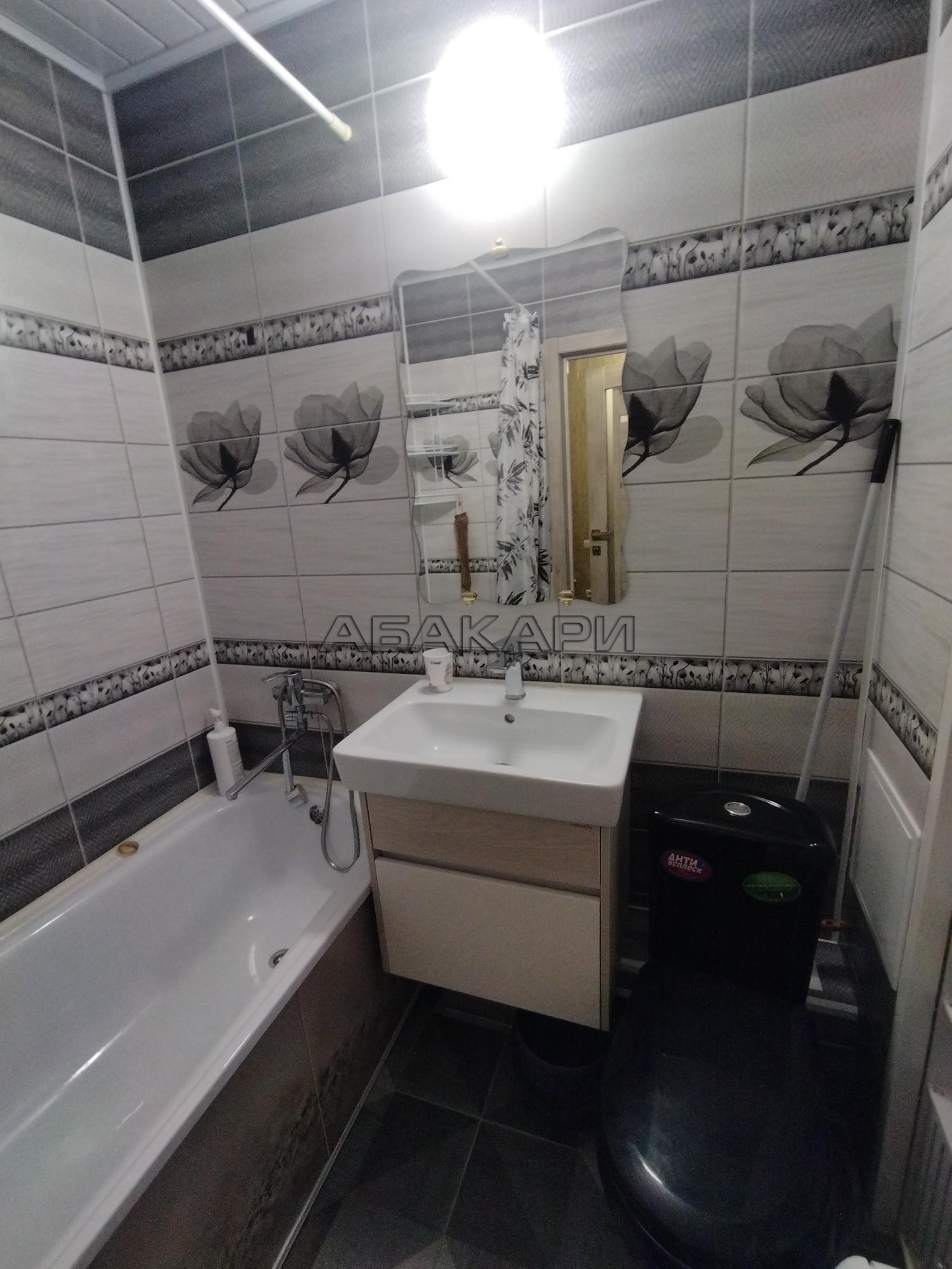 студия Соколовская улица, 76  за 23000 руб/мес фото 4