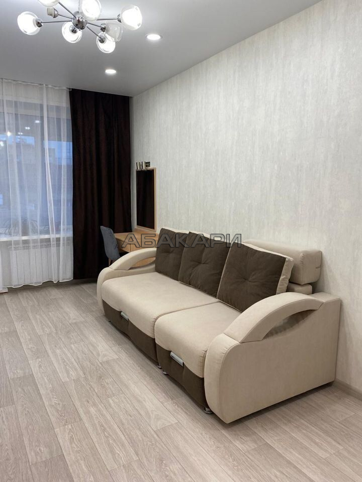 1-комнатная улица Ленина, 49  за 40000 руб/мес фото 3