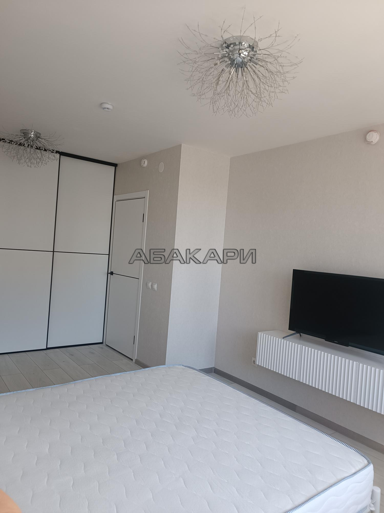 1-комнатная Соколовская улица, 20В  за 33000 руб/мес фото 3