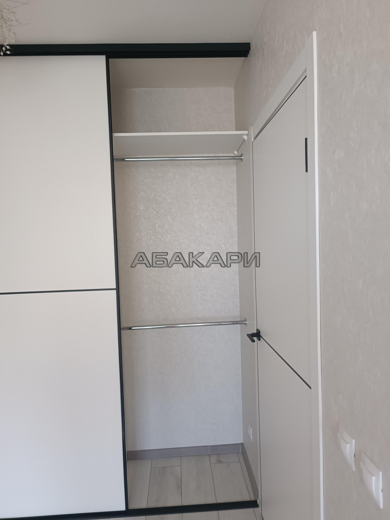1-комнатная Соколовская улица, 20В  за 33000 руб/мес фото 5