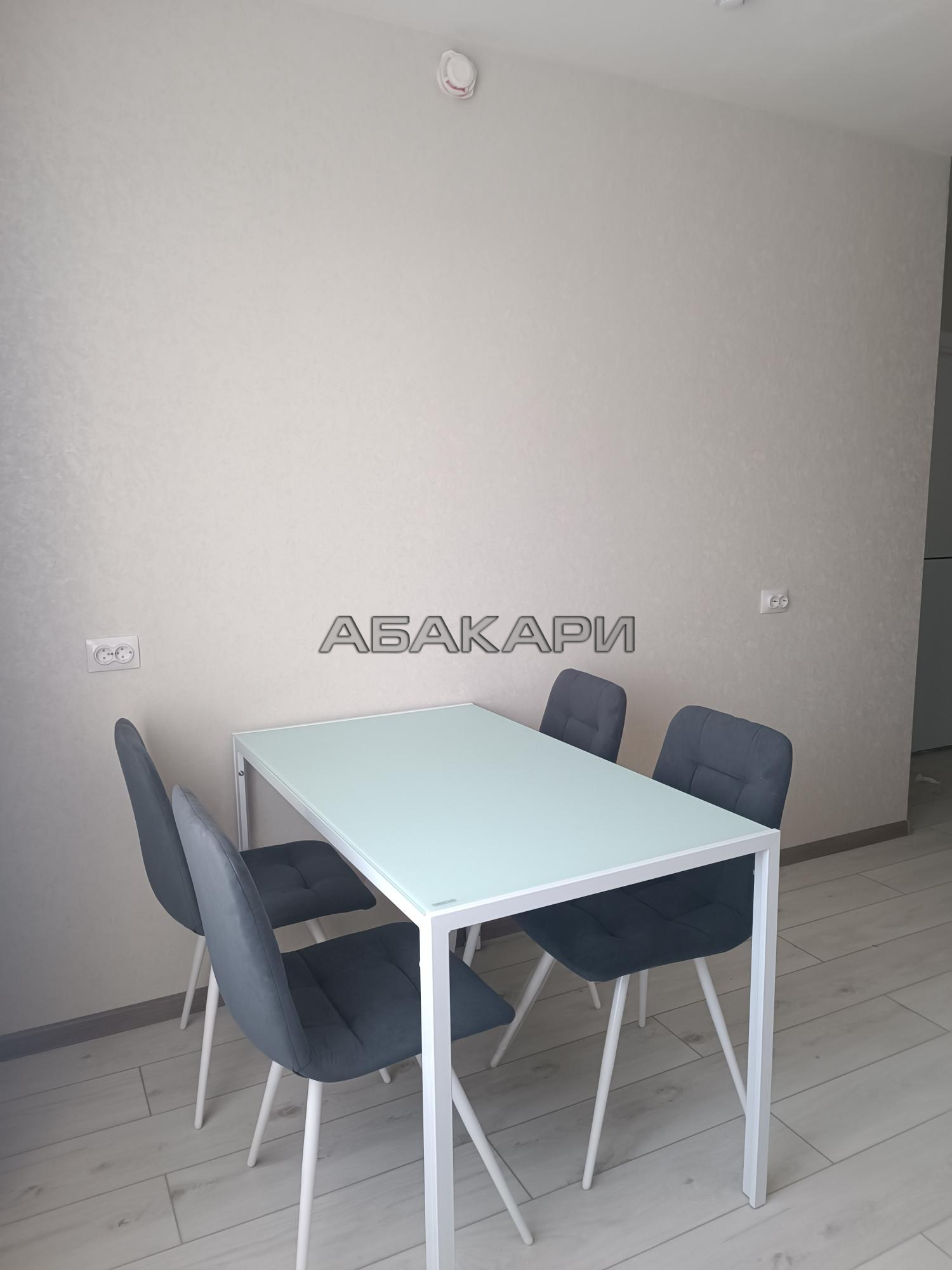 1-комнатная Соколовская улица, 20В  за 33000 руб/мес фото 11