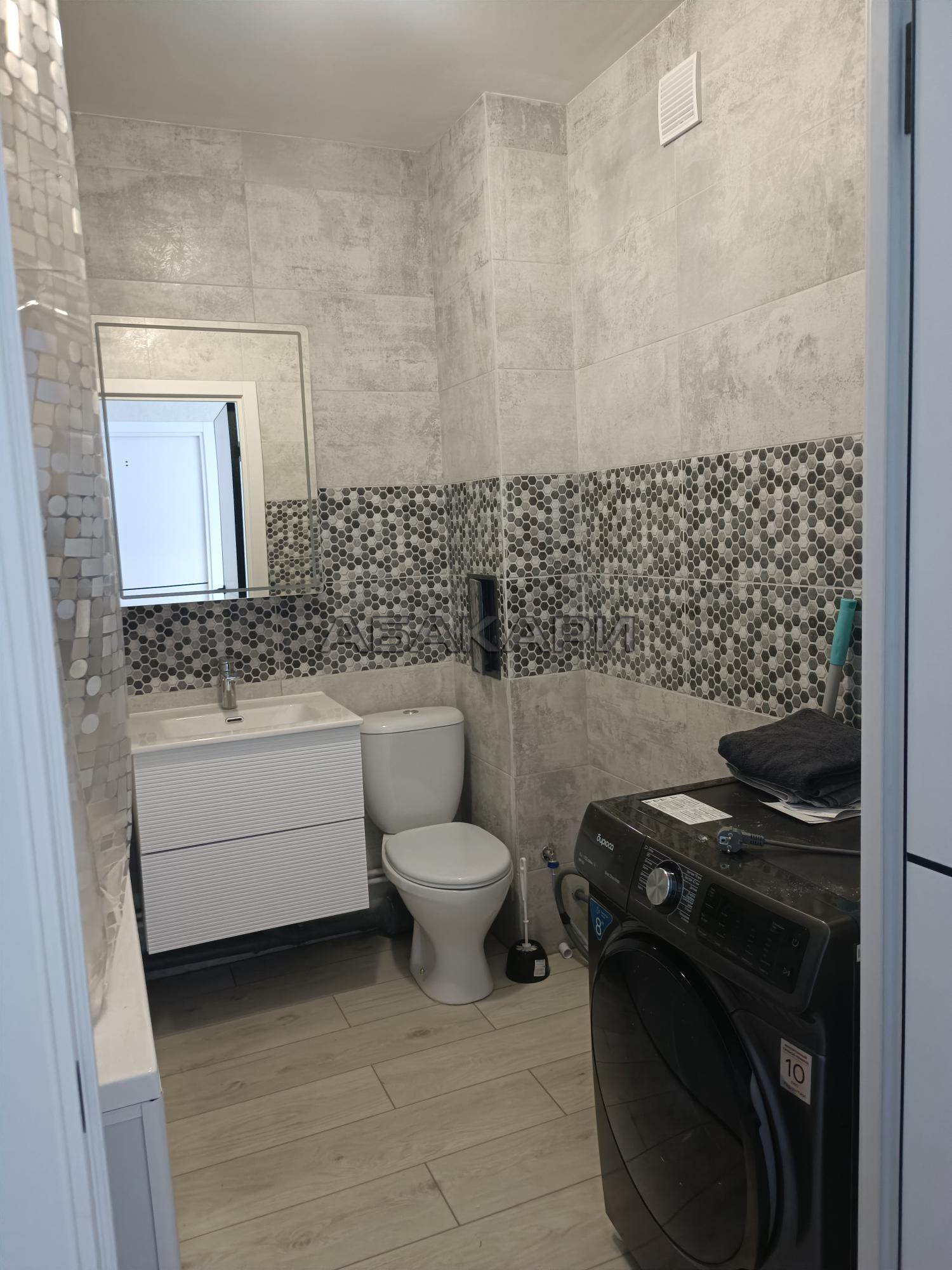 1-комнатная Соколовская улица, 20В  за 33000 руб/мес фото 12