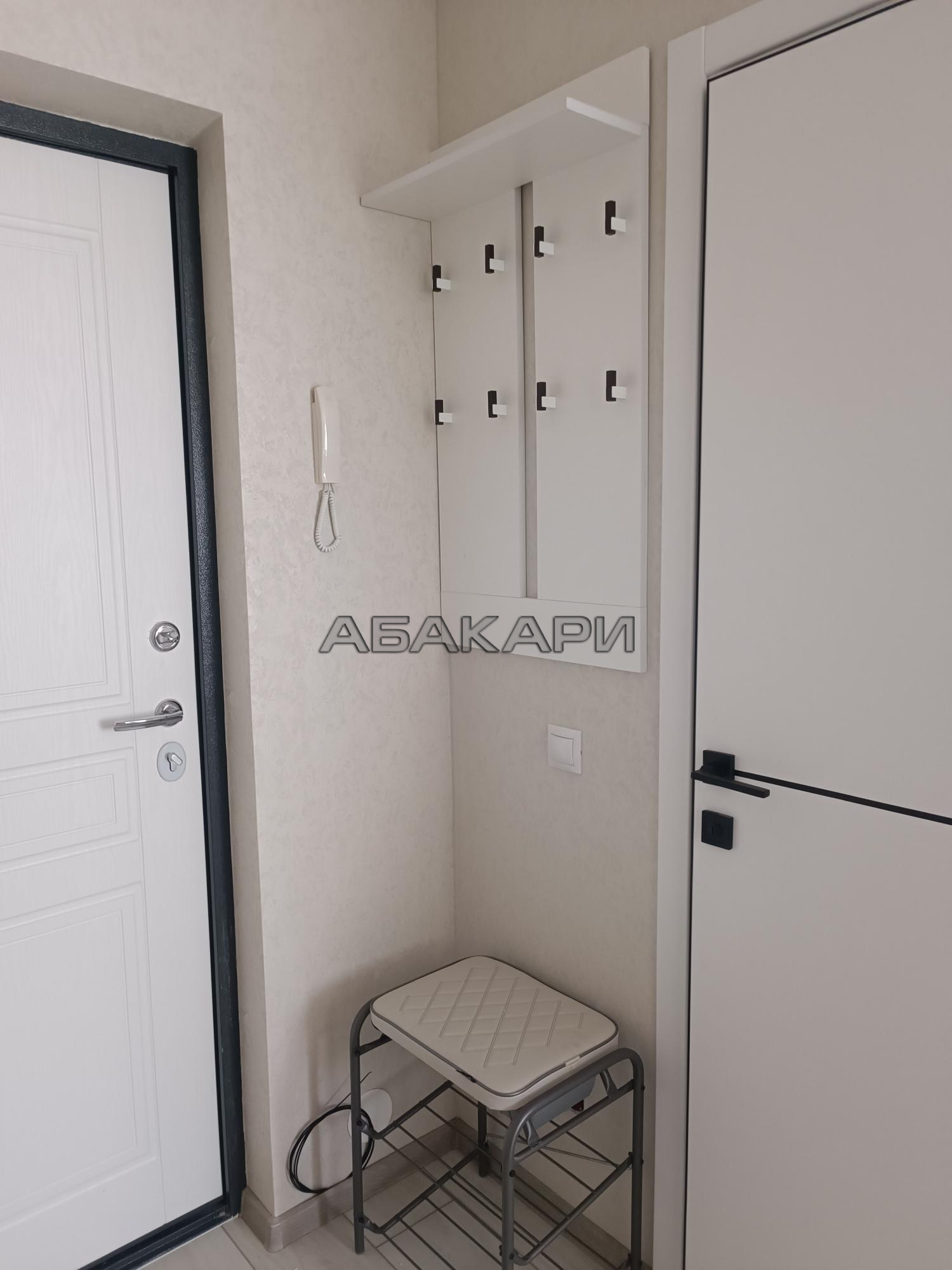 1-комнатная Соколовская улица, 20В  за 33000 руб/мес фото 15