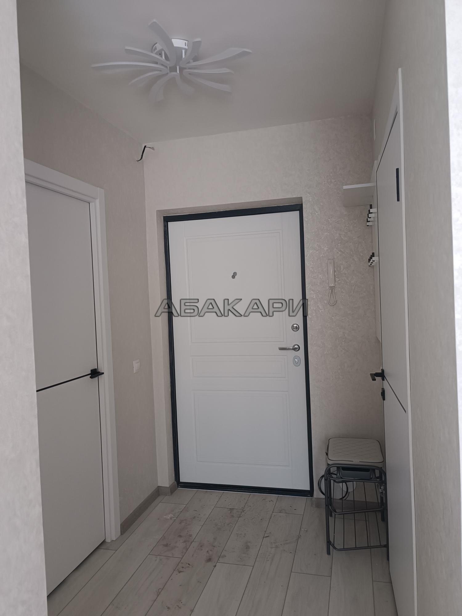 1-комнатная Соколовская улица, 20В  за 33000 руб/мес фото 16