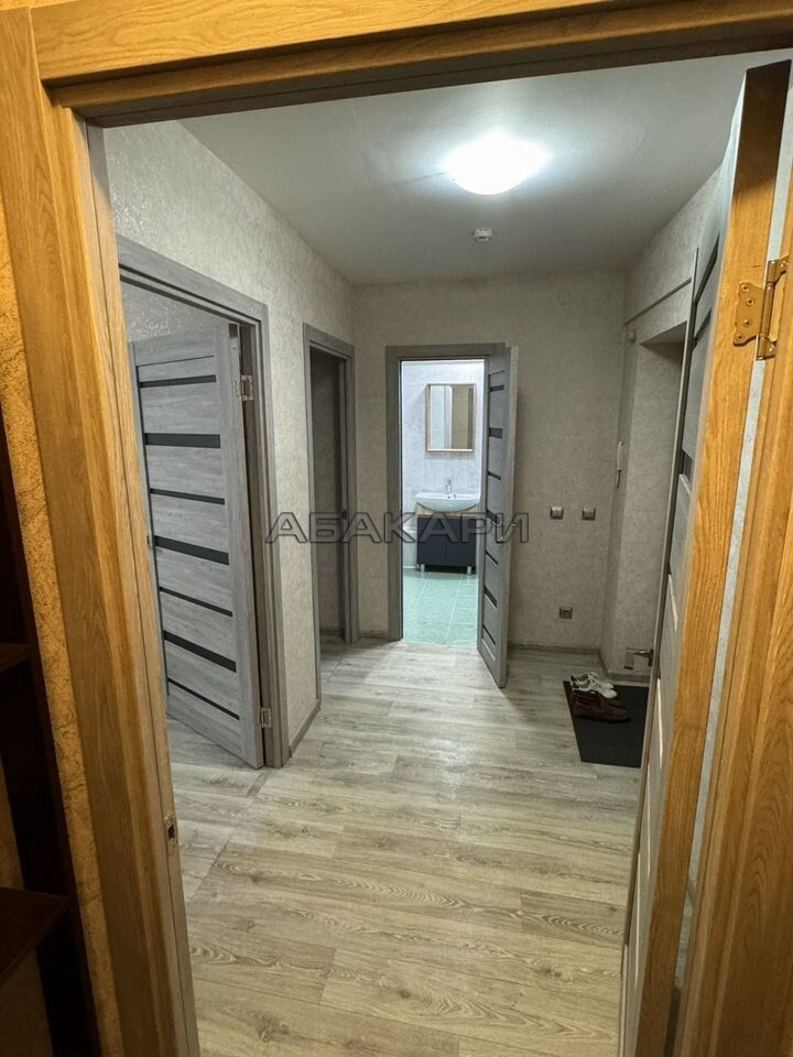 1-комнатная улица Чернышевского, 75  за 36000 руб/мес фото 6