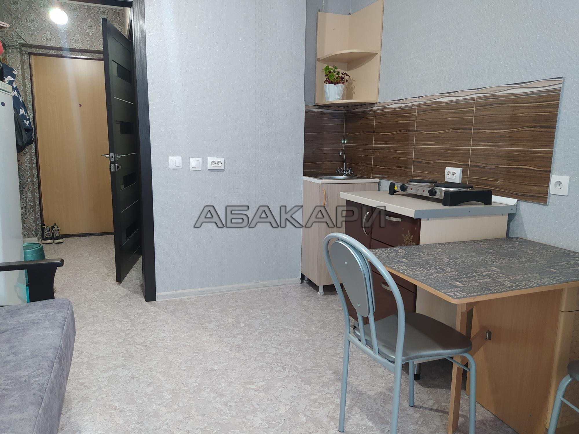 студия Лесопарковая улица, 33  за 22000 руб/мес фото 8