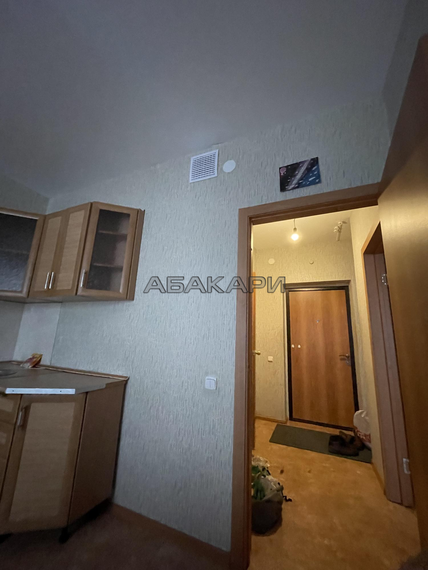 1-комнатная Ярыгинская набережная, 9  за 27000 руб/мес фото 14